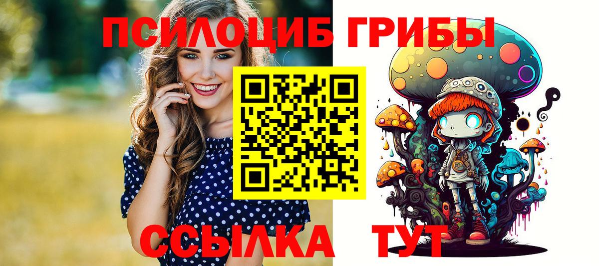Галлюциногенные грибы Psilocybine cubensis Аргун