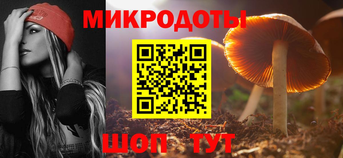 Галлюциногенные грибы мицелий  наркота  Аргун  Вход с VPN  Псилоцибиновые грибы Psilocybe 